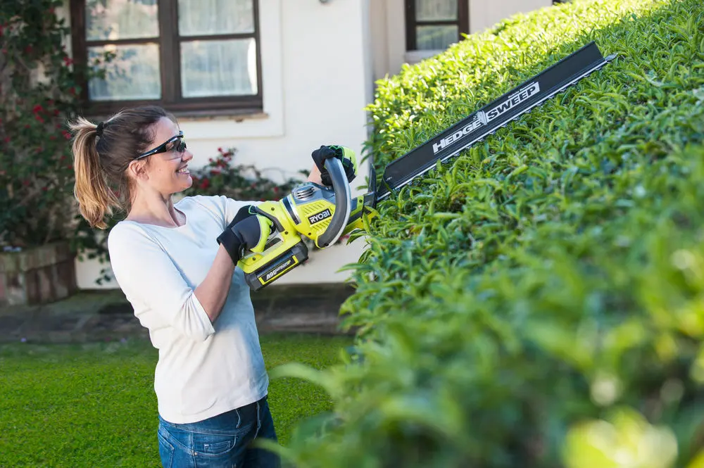 Akkus Sövényvágó